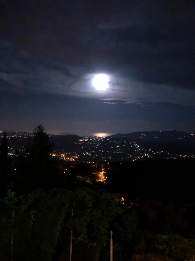 Les Volets Bleus Hotel Spéracèdes Bagian luar foto